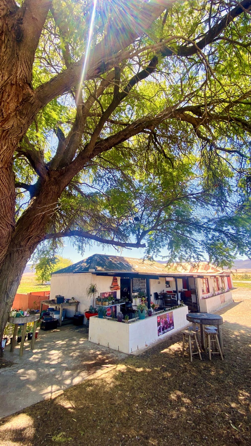 Die padstal onder die peperboom